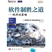 KH10282软件制胜之道执行的策略