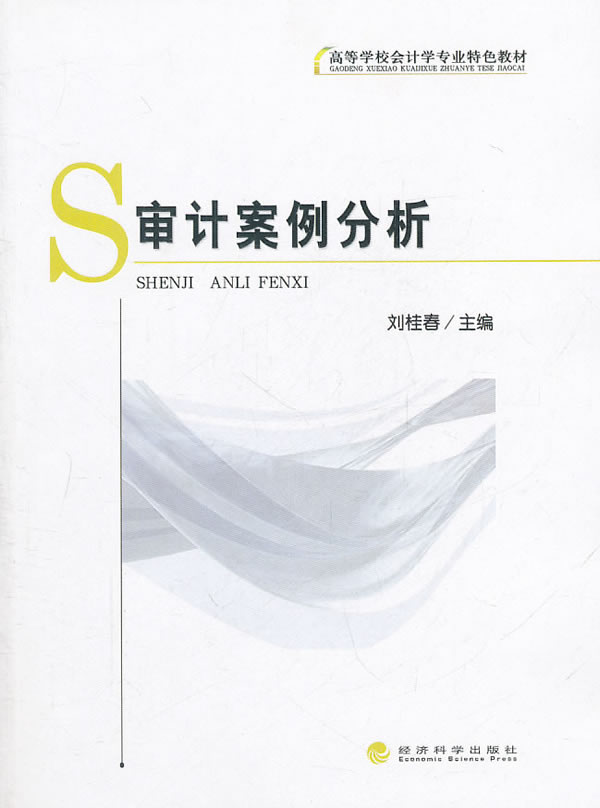 审计案例分析