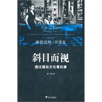 斜目而视-透过通俗文化看拉康