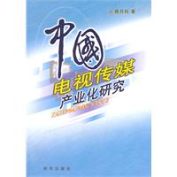 中国电视传媒产业化研究