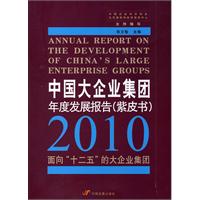 中国大区企业集团年度发展报告(紫皮书)