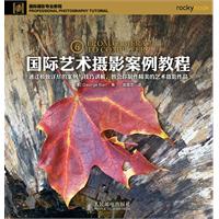 国际艺术摄影案例教程