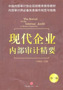 现代企业内部审计精要-第三版