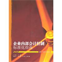 企业内部会计控制标准化指南