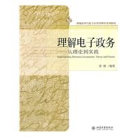 理解电子政府-从理论道实践