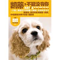 凯蒂.不能没有你