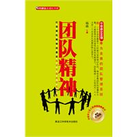 团队精神:精装升级版