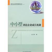 中小型科技企业成长机制