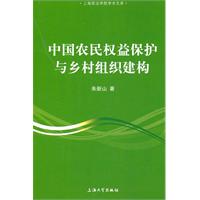 中国农民权益保护与乡村组织建构