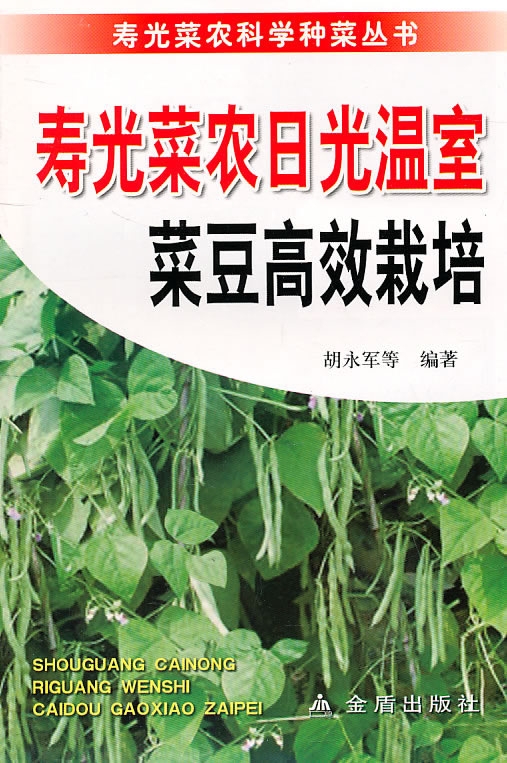 寿光菜农日光温室菜豆高效栽培