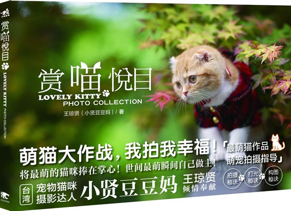 赏喵悦目