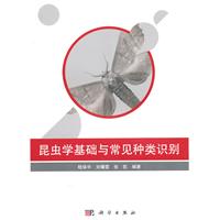 昆虫学基础与常见各类识别