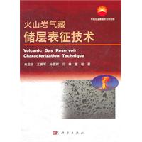 火山岩气藏储层表征技术