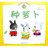 种萝卜