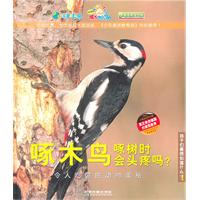啄木鸟啄树时会头疼吗?:令人吃惊的动物奥秘