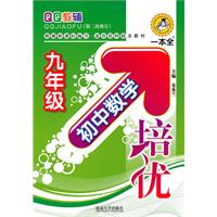 九年级-适合各种版本教材-初中数学培优
