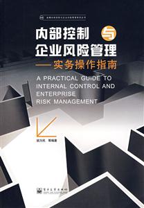 内部控制企业风险管理-实务操作指南