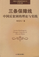 三条保障线-中国反贫困的理认线性实践