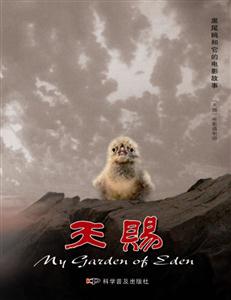 天赐