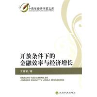 开放条件下的金融效率与经济增长