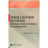 动态域上的不连续动力学系统