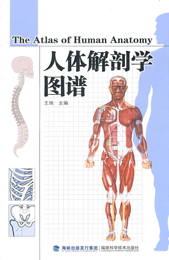 人体解剖学图谱