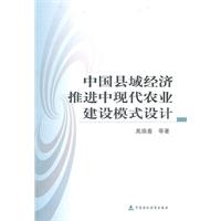 中国县域经济推进中现代农业建设模式设计
