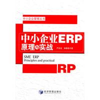 中小企业ERP原理与实战