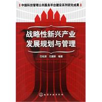 战略性新兴产业发展规划与管理