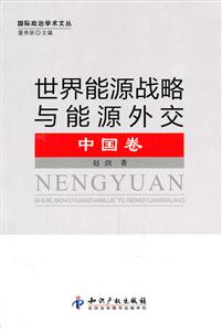 世界能源战略与能源外交-中国卷