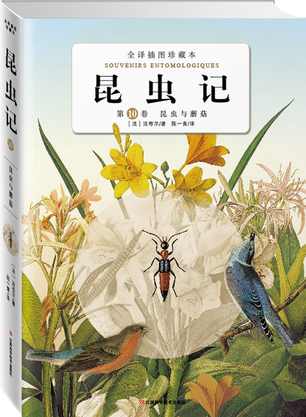 昆虫记:第十卷:昆虫与蘑菇:全译插图珍藏本