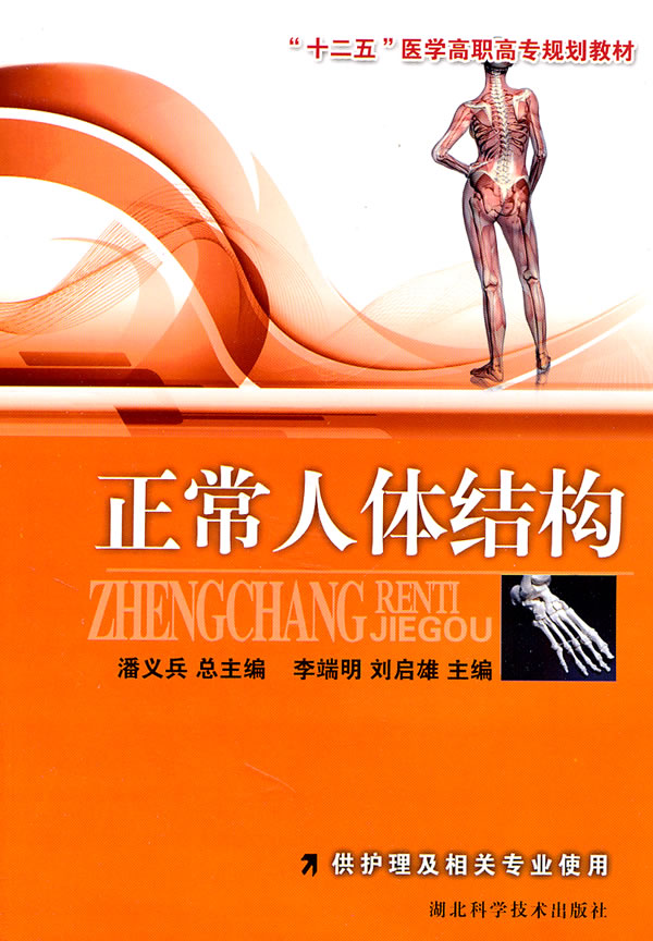 正常人体结构
