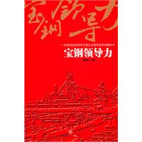 宝钢领导力