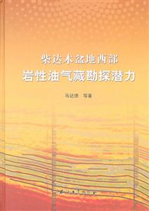 柴达木盆地西部岩性油气藏勘探潜力