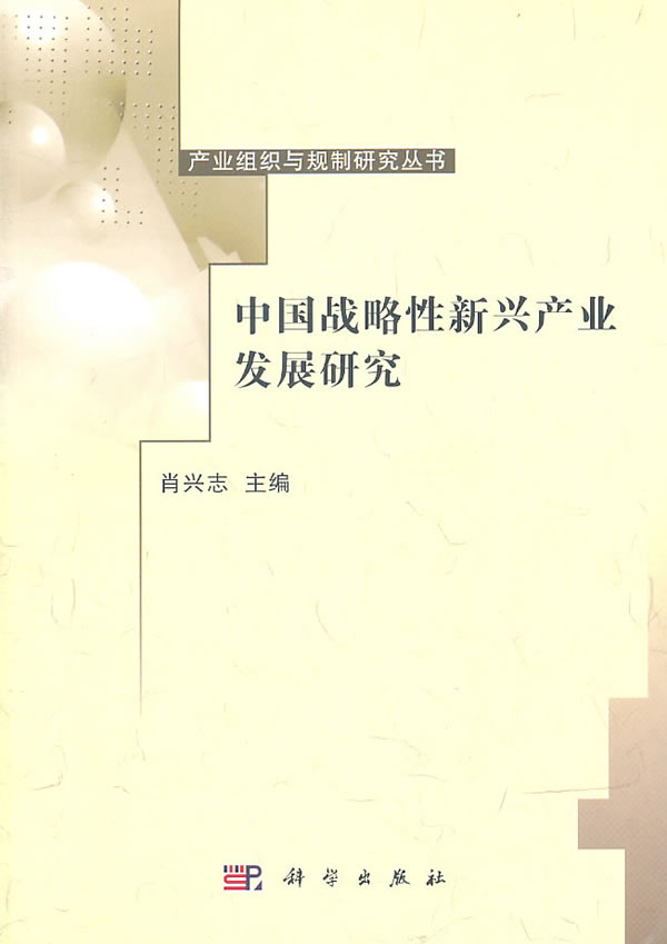中国战略性新兴产业发展研究