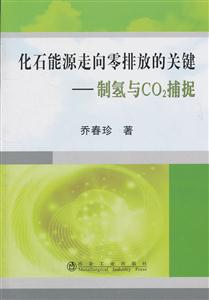 化石能源走向零排放的關鍵--制氧與CO2捕捉