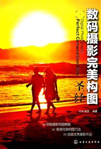 数码摄影完美构图圣经
