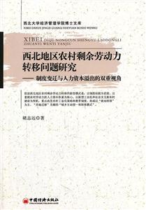 西北地区农村剩余劳动力转移问题研究-制度变迁与人力资本溢出的双重视角