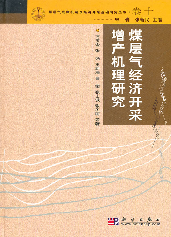 煤层气经济开采增产机理研究