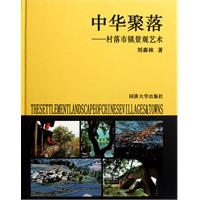 中华聚落:村落市镇景观艺术
