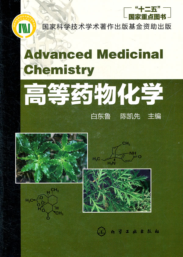 高等药物化学