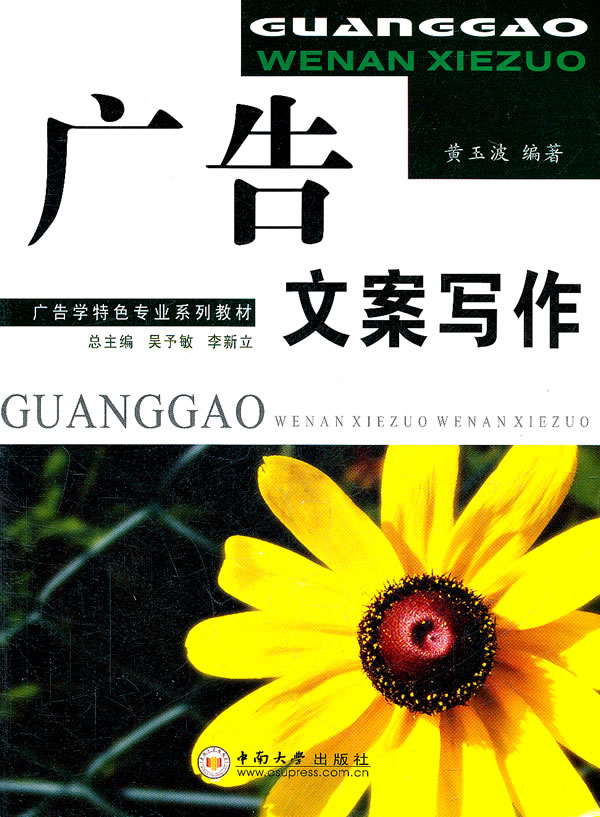 广告文案写作