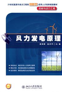 风力发电原理-风能与动力工程