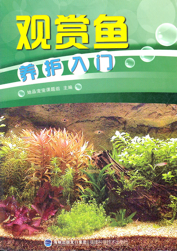 观赏鱼养护入门