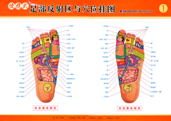 便携式足部反射区与穴位挂图