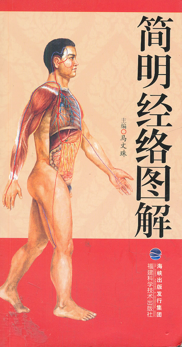 简明经络图解