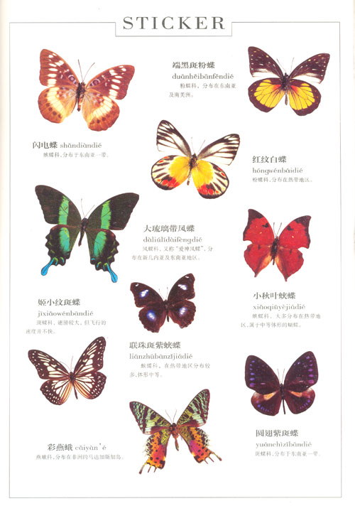 内容简介 化后的蝴蝶是在大自然中翩翩飞舞的彩色精灵.