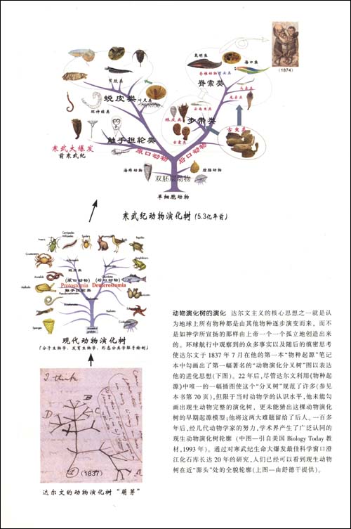 物种起源增订版