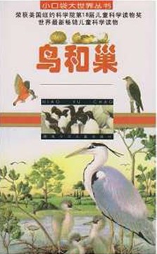 鸟和巢