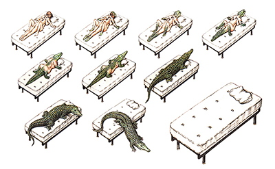 塞拉菲尼抄本codexseraphinianus